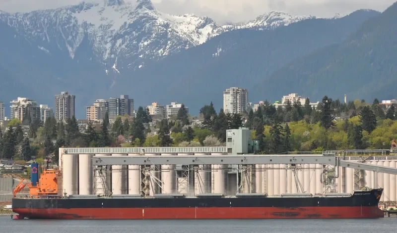 ROSCO LITCHI Bulk Carrier IMO 9510333 photo 7