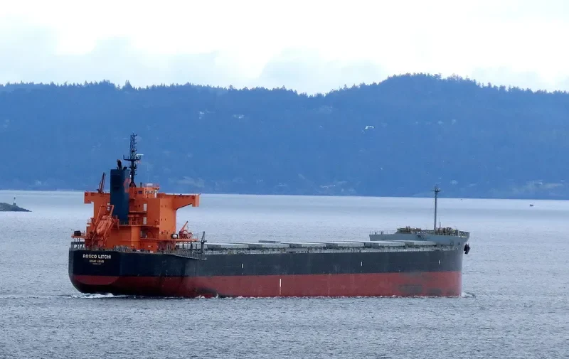 ROSCO LITCHI Bulk Carrier IMO 9510333 photo 9