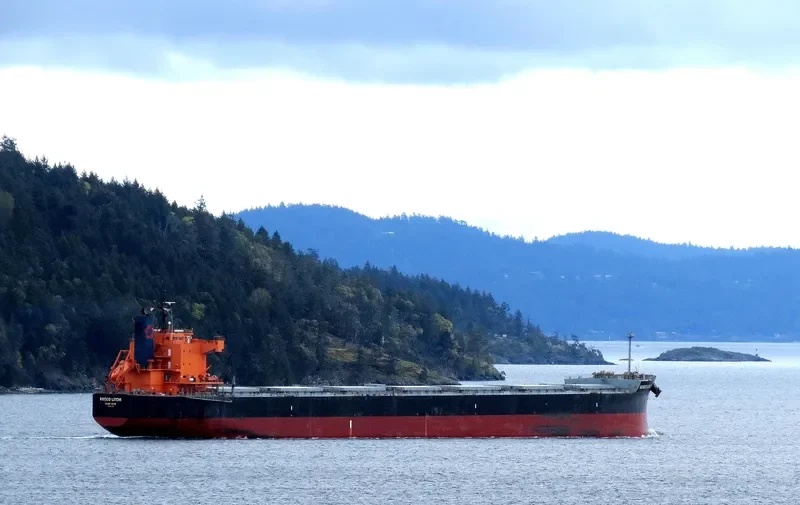 ROSCO LITCHI Bulk Carrier IMO 9510333 photo 10