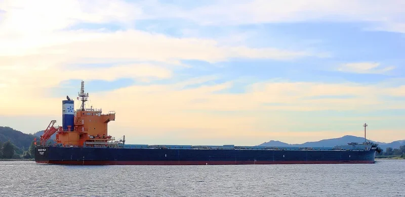 ROSCO PALM Bulk Carrier IMO 9510345