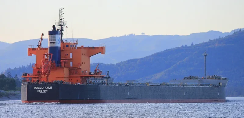 ROSCO PALM Bulk Carrier IMO 9510345 photo 2