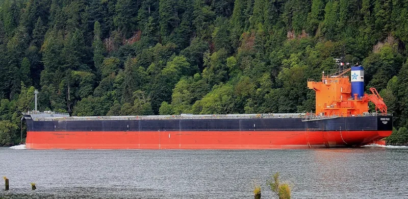 ROSCO PALM Bulk Carrier IMO 9510345 photo 4