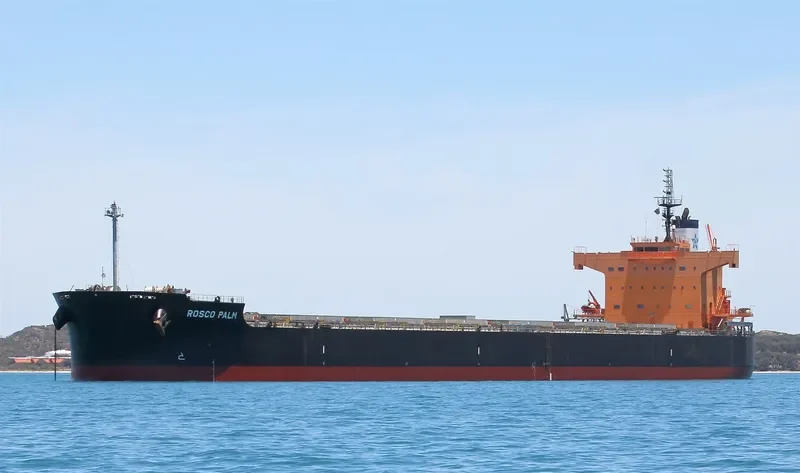 ROSCO PALM Bulk Carrier IMO 9510345 photo 5
