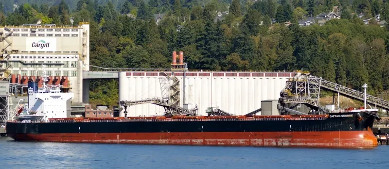 CAPTAIN GEORGE Bulk Carrier IMO 9510357 photo 2