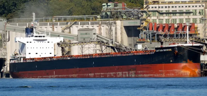 CAPTAIN GEORGE Bulk Carrier IMO 9510357 photo 3
