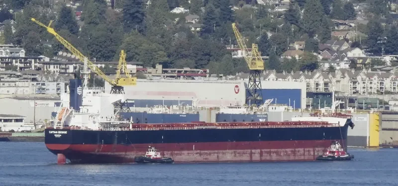 CAPTAIN GEORGE Bulk Carrier IMO 9510357 photo 4