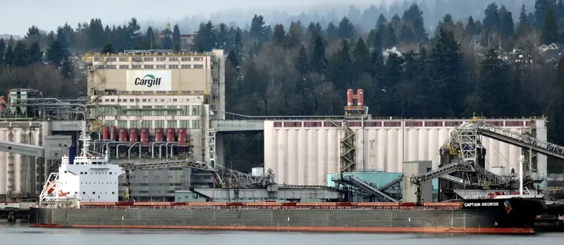 CAPTAIN GEORGE Bulk Carrier IMO 9510357 photo 5