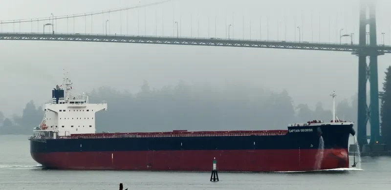 CAPTAIN GEORGE Bulk Carrier IMO 9510357 photo 6