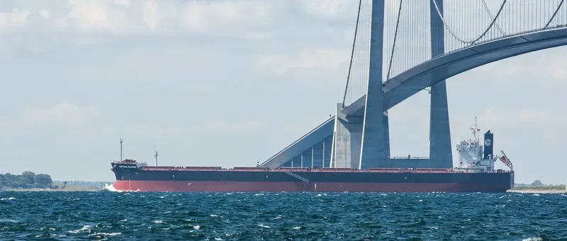 CAPTAIN GEORGE Bulk Carrier IMO 9510357 photo 10