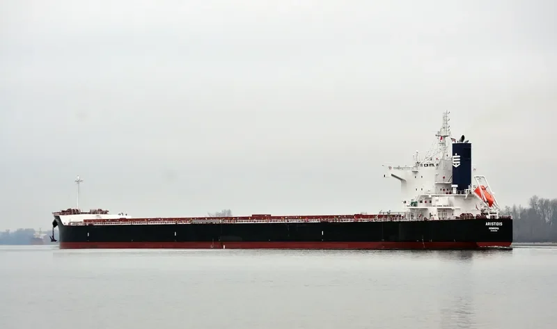 ARISTIDIS Bulk Carrier IMO 9510369 photo 8