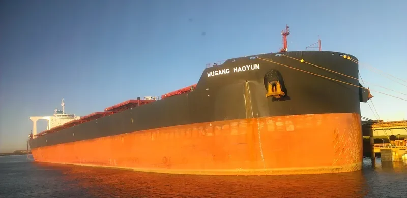 WUGANG HAOYUN Bulk Carrier IMO 9510474 photo 2