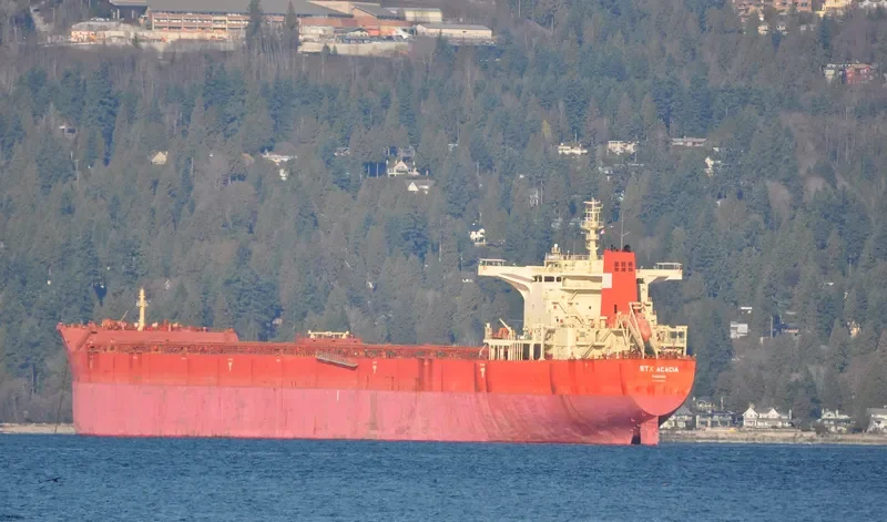 PAN ACACIA Bulk Carrier IMO 9510515