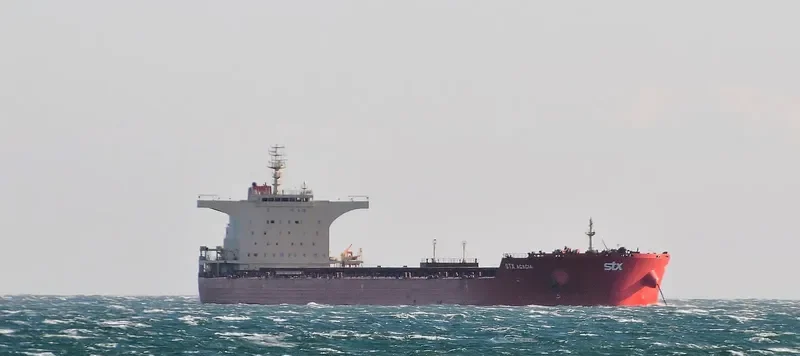 PAN ACACIA Bulk Carrier IMO 9510515 photo 5