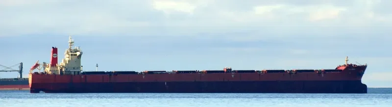 PAN BONA Bulk Carrier IMO 9510527