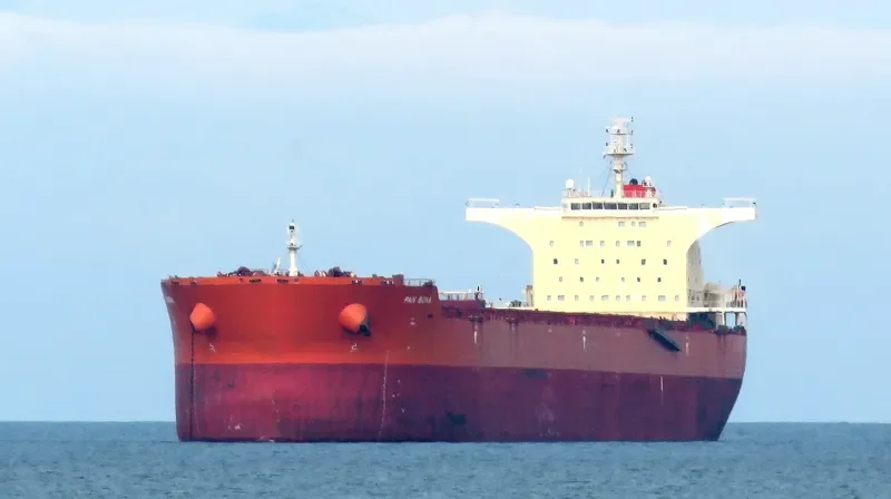 PAN BONA Bulk Carrier IMO 9510527 photo 2