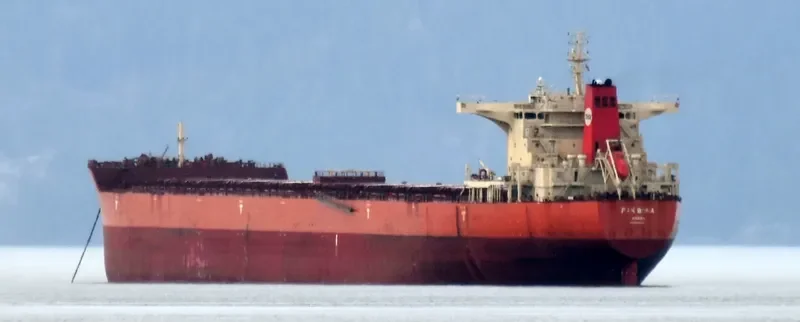 PAN BONA Bulk Carrier IMO 9510527 photo 5