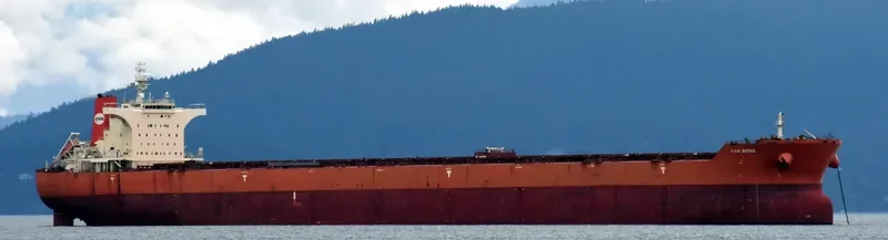 PAN BONA Bulk Carrier IMO 9510527 photo 6