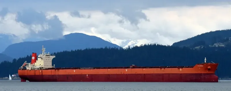 PAN BONA Bulk Carrier IMO 9510527 photo 7