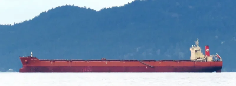 PAN BONA Bulk Carrier IMO 9510527 photo 8