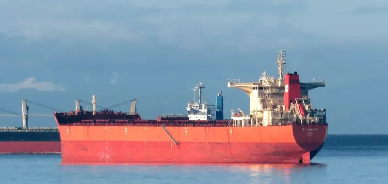 PAN BONA Bulk Carrier IMO 9510527 photo 9