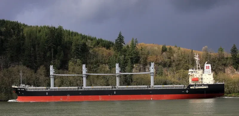KEN KON Bulk Carrier IMO 9510929 photo 3