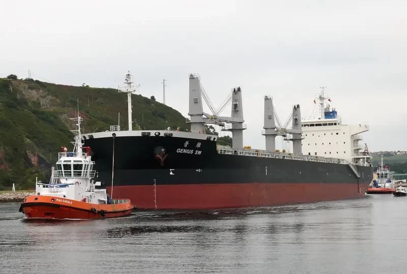 GENIUS SW Bulk Carrier IMO 9511052