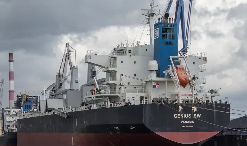 GENIUS SW Bulk Carrier IMO 9511052 photo 2