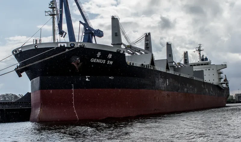 GENIUS SW Bulk Carrier IMO 9511052 photo 3