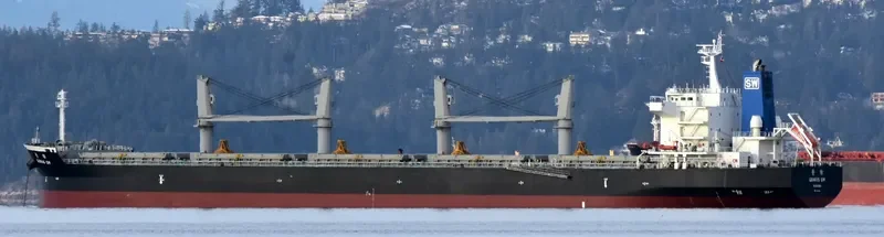 GENIUS SW Bulk Carrier IMO 9511052 photo 5