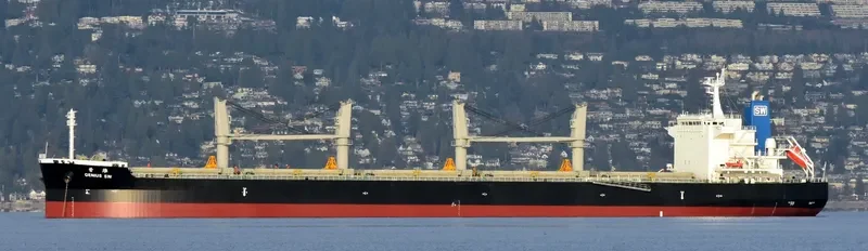 GENIUS SW Bulk Carrier IMO 9511052 photo 6