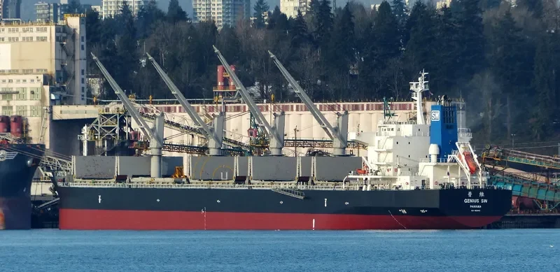 GENIUS SW Bulk Carrier IMO 9511052 photo 7