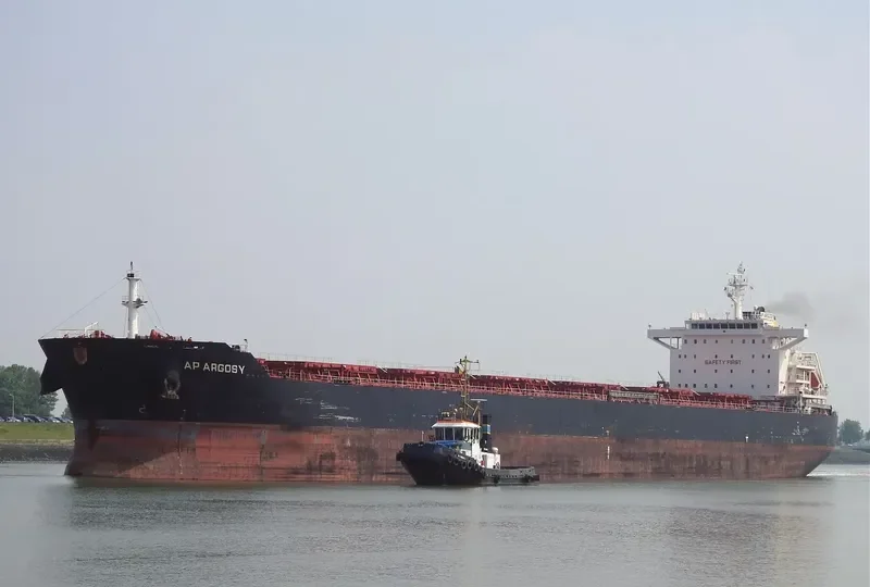 AP ARGOSY Bulk Carrier IMO 9511258 photo 7