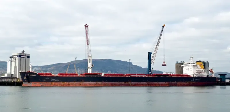 AP ARGOSY Bulk Carrier IMO 9511258 photo 8