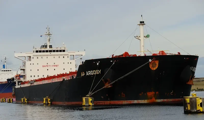 AP ARGOSY Bulk Carrier IMO 9511258 photo 9