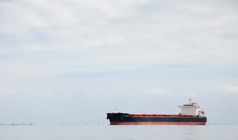 XI LONG 18 Bulk Carrier IMO 9511260