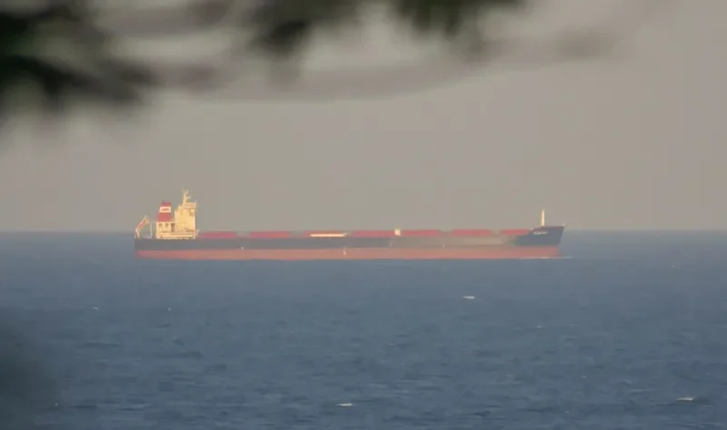XI LONG 18 Bulk Carrier IMO 9511260 photo 6