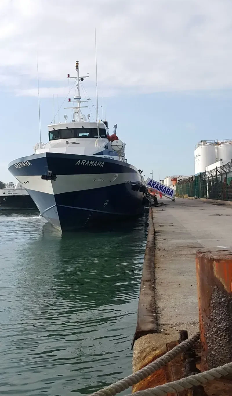 BLUE STAR General Cargo IMO 9511284