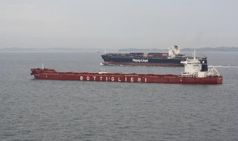 CAPE SEAGULL Bulk Carrier IMO 9511337