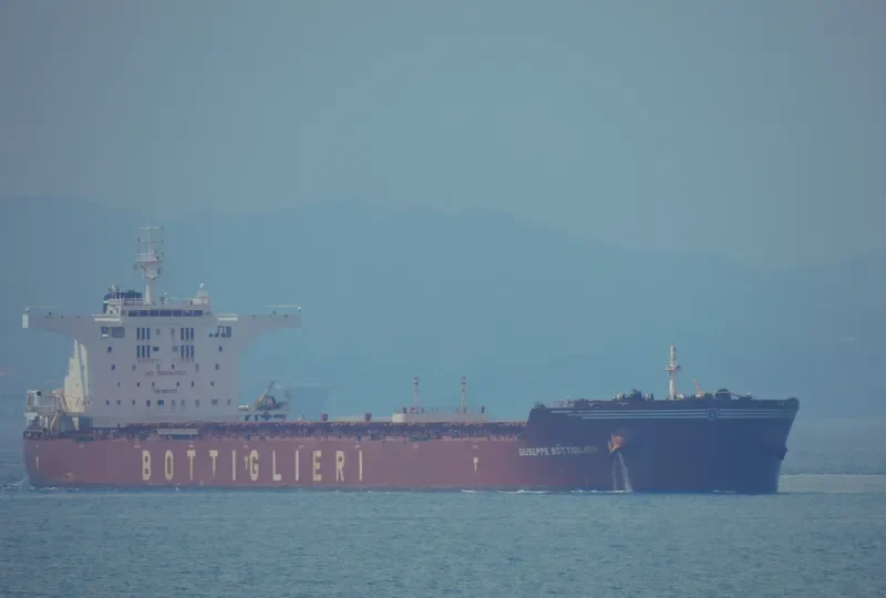 CAPE SEAGULL Bulk Carrier IMO 9511337 photo 3