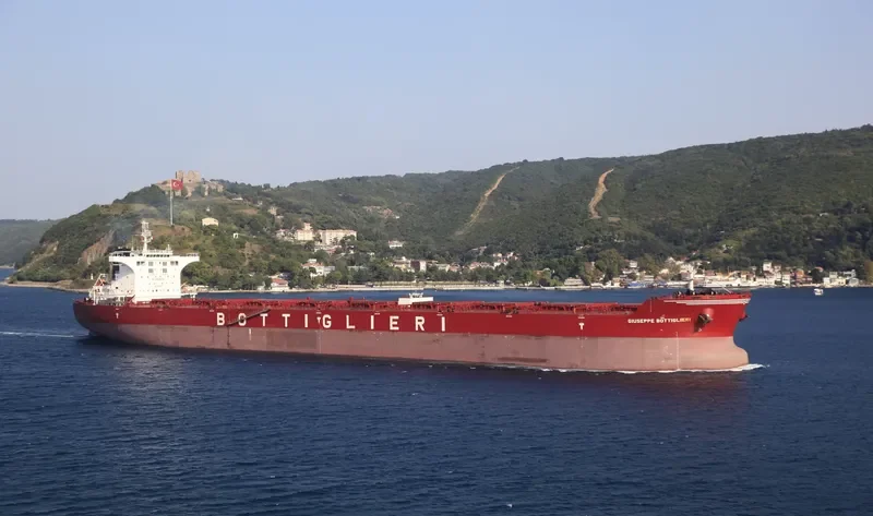 CAPE SEAGULL Bulk Carrier IMO 9511337 photo 5