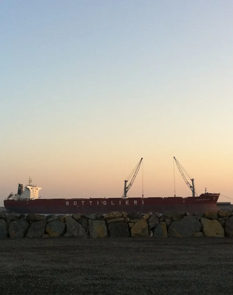 CAPE SEAGULL Bulk Carrier IMO 9511337 photo 6