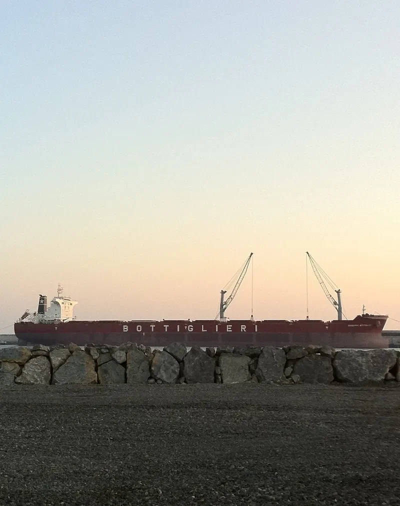 CAPE SEAGULL Bulk Carrier IMO 9511337 photo 7