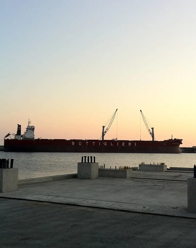 CAPE SEAGULL Bulk Carrier IMO 9511337 photo 8