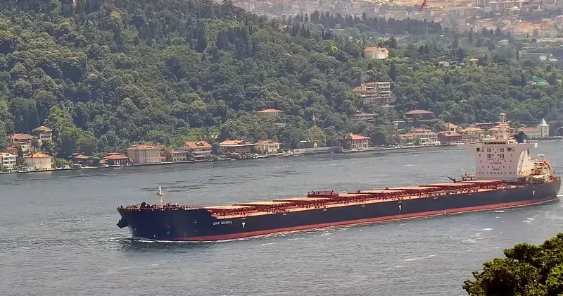 CAPE SEAGULL Bulk Carrier IMO 9511337 photo 9