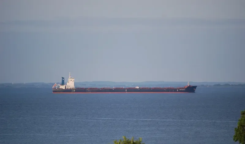 CAPE SEAGULL Bulk Carrier IMO 9511337 photo 10