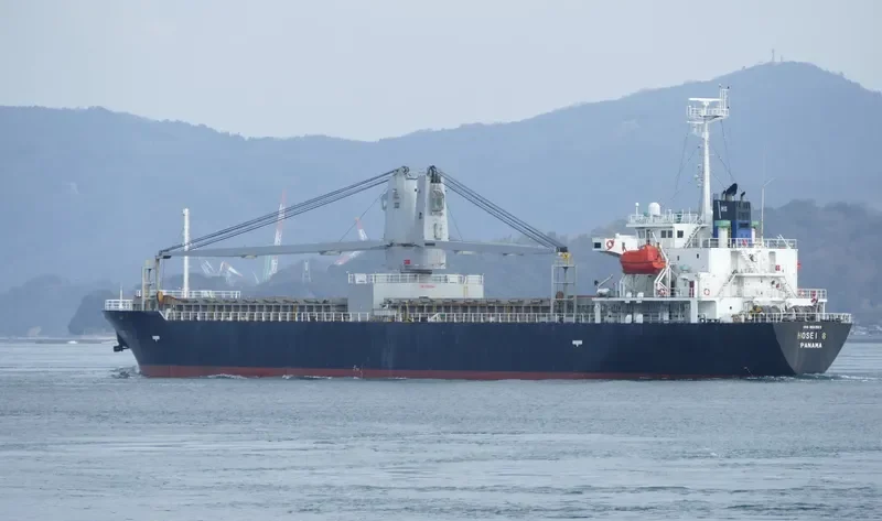 HOSEI 8 General Cargo IMO 9511363 photo 8