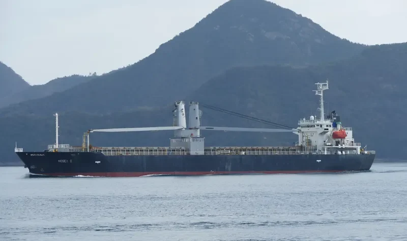 HOSEI 8 General Cargo IMO 9511363 photo 10