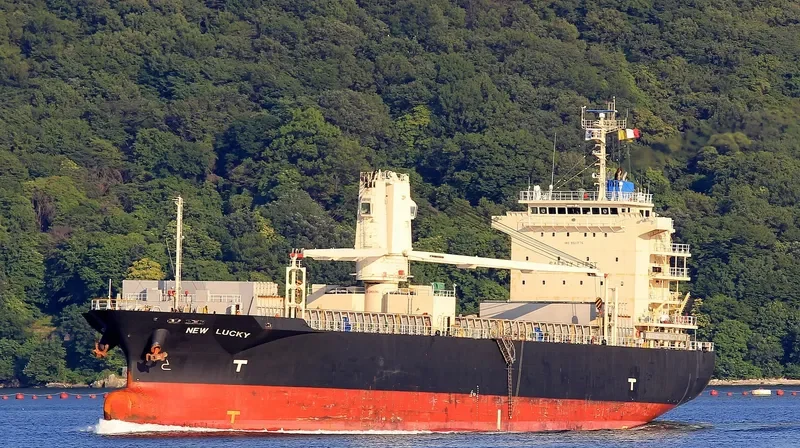 HALIT BEY General Cargo IMO 9511375 photo 3