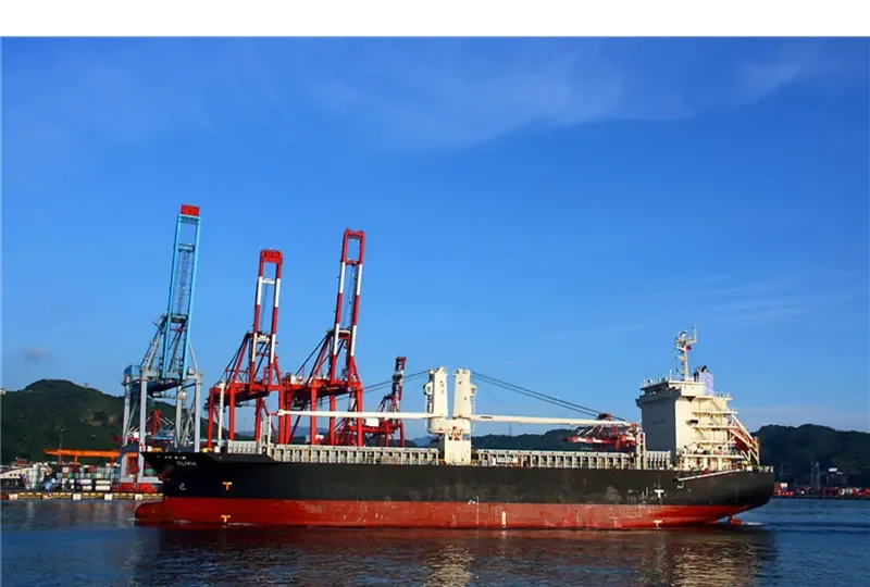 HALIT BEY General Cargo IMO 9511375 photo 5