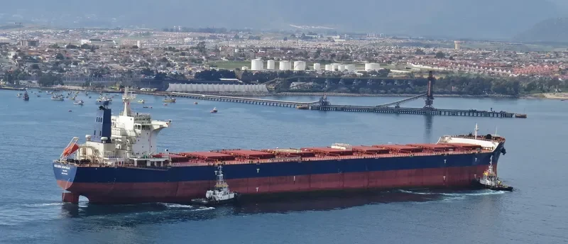GOLDEN MYRTALIA Bulk Carrier IMO 9511416 photo 2